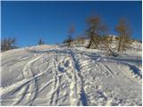 Planina Zajavornik - Mrežce